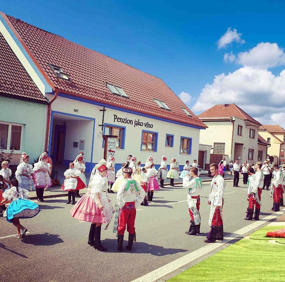 Penzion jako víno Bulhary Exterior foto