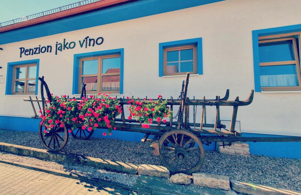 Penzion jako víno Bulhary Exterior foto